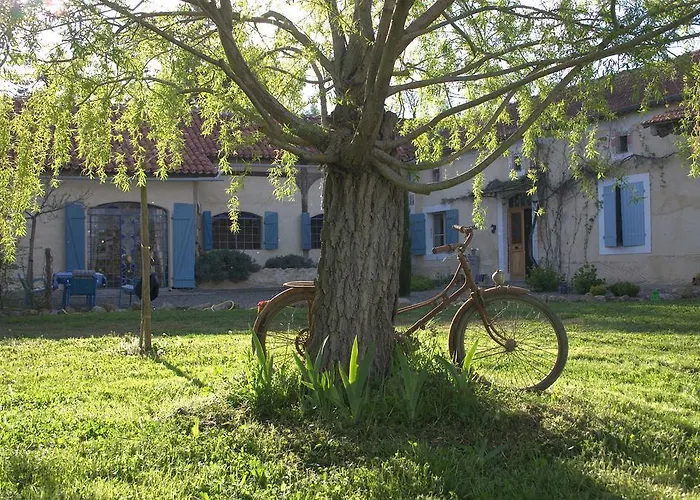 Frühstückspension Les Oliviers Auriébat