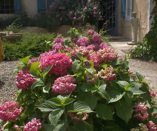 Les Oliviers Frühstückspension Auriébat