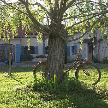 Bed & Breakfast Les Oliviers Auriebat
