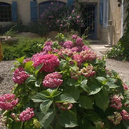 Les Oliviers Bed & Breakfast Auriébat
