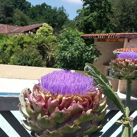 Les Oliviers Auriébat