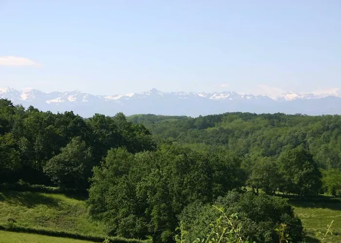 Oda ve Kahvaltı Les Oliviers