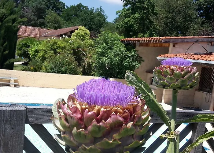 Les Oliviers Auriébat